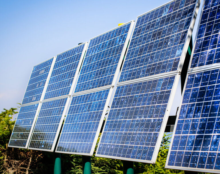 Alcance ecológico en las directrices de la encuesta